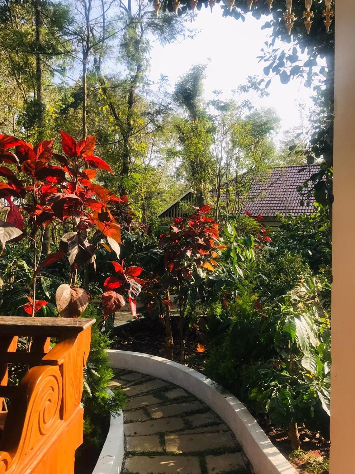 Coorg Orange Blossom Resort And Spa Suntikoppa Zewnętrze zdjęcie